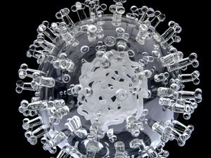 Supporting image for story: Researchers looking at whether common cold offers some protection from Covid-19