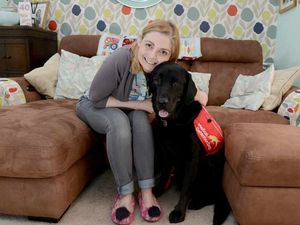 Supporting image for story: My guardian angel: Amazing dog can predict Telford woman's blackouts