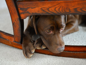 Supporting image for story: Express & Star comment: Connections made in lockdown show in our spending