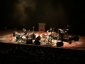 Supporting image for story: Tubular Bells for Two, Birmingham Town Hall - review and pictures