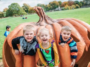 Supporting image for story: Things getting spooky with a packed weekend of events 