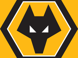 Supporting image for story: Top of the league: Wolves' historic programmes ranked the most valuable of all Premier League clubs - here's how much they're going for