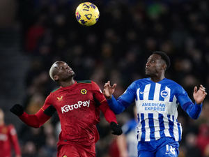 Supporting image for story: Wolves Fans' Verdict v Brighton: A solid point