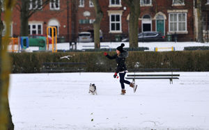 Throwing a stick for the dog in the park in Walsall
