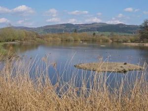 Supporting image for story: Wildlife trust launches new scheme to help with mental health