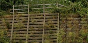 A retaining wall behind Goodrich Mills is at risk of collapse