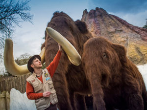 Supporting image for story: West Midland Safari Park's new Ice Age exhibit to open this week