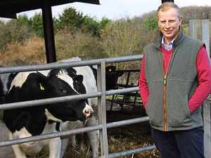 Supporting image for story: You can't beat milk say Shropshire farmers