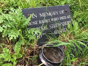 Supporting image for story: Bereaved mother's fight to have unloved memorial to lost babies restored