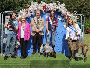 Supporting image for story: Wolverhampton animal rescue raises more than £4,500 at latest funday