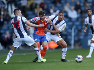 Supporting image for story: Returning Wolves loanees could stay and fight for Molineux place