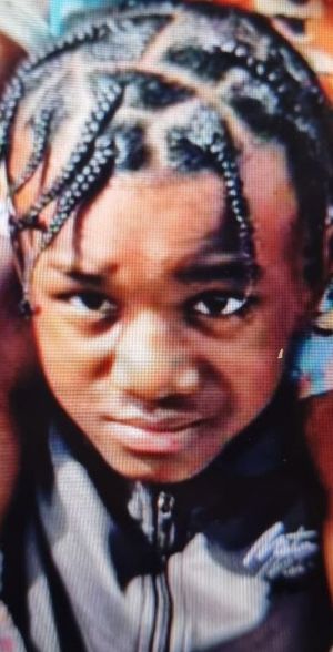 Have you seen Rayne? Photo: West Midlands Police 