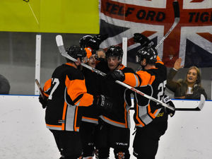 Supporting image for story: Macauley Halford leaves Telford Tigers with immediate effect