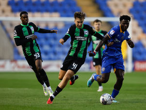 Supporting image for story: EFL Trophy: Shrewsbury 0 Brighton U21s 0 (4-1 pens) - Report 