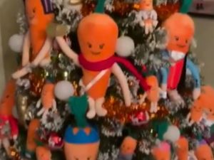 Supporting image for story: Video: Midlands mum who loves Aldi soft toys decorates her Christmas tree with 50 Kevin the Carrots