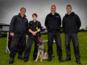 Supporting image for story: Biting back: Police dogs’ role in the fight against crime