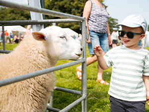 Supporting image for story: In pictures: The best of the Burwarton Show in Bridgnorth celebrating the countryside