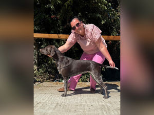 Supporting image for story: Beloved dog who helped Stafford mother and daughter after mental health crisis will return to Crufts