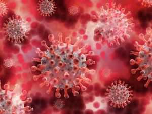 Supporting image for story: Two years of Covid: A reflection on the pandemic