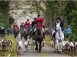 Supporting image for story: Poll: Are the regulations introduced by the Hunting Act tough enough?