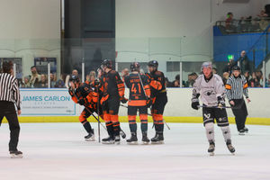 Telford Tigers celebrate after Harry Ferguson's goal. Picture: Edward Bowen 