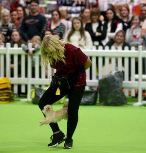 National Pet Show at Birmingham NEC. Pictures by: Andy Shaw
