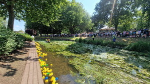 Duck Race