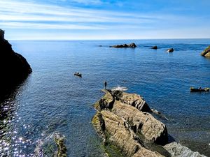 Supporting image for story: Travel review: Stowford Farm Meadows, Devon