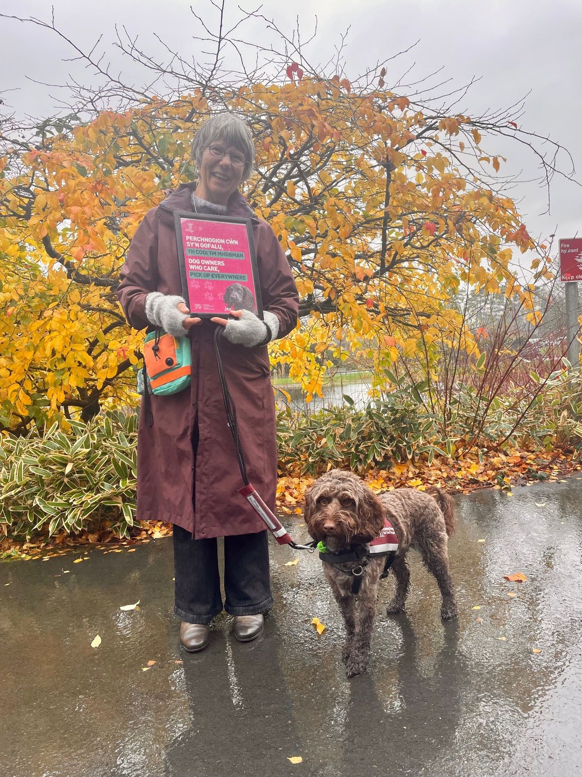 &lsquo;Leave only pawprints&rsquo;: Powys County Council teams up with Keep Wales Tidy to tackle dog fouling