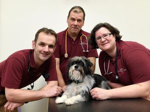 Supporting image for story: Animal magic! Retiring Shrewsbury vet has helped 80,000 pets