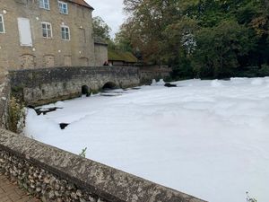 Supporting image for story: Environment Agency investigating after fish die in foam layer on river Thet
