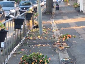 Supporting image for story: Vandals destroy Dudley village flower group's beautiful displays - and then one owns up