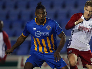 Supporting image for story: Shrewsbury Town players urged to grasp chance in Junior Brown's absence