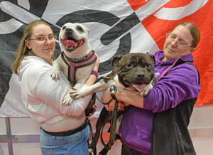 At the opening day of Crufts: Nicole and Jill Studley with Tia and Ted the Staffordshire Bull Terriers.