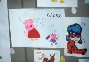 Colourful drawings have been placed in the windows of Mandy Rayner's home.
