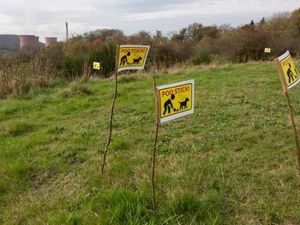 Supporting image for story: 'Poo sticks' drive message home in Ironbridge dog mess campaign