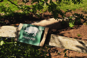'Happy pigs' braille sign at Fordhall Organic Farm