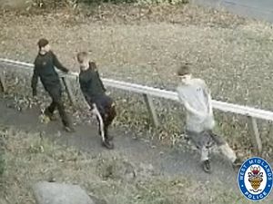 Supporting image for story: Police search for three boys after motorbike stolen in Netherton