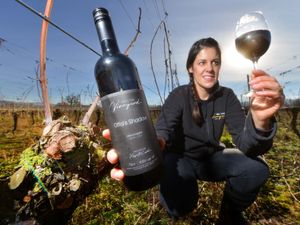 Supporting image for story: Shropshire vineyard launches oak-aged wine in homage to border landscape