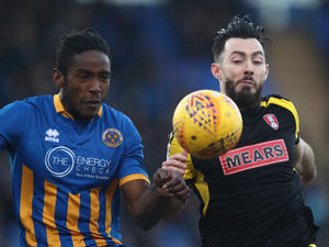 Supporting image for story: Shrewsbury Town vs Rotherham: Inside track on the Millers