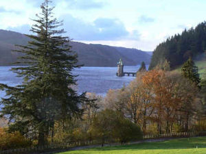 Supporting image for story: Charity joins bid to buy Lake Vyrnwy Estate