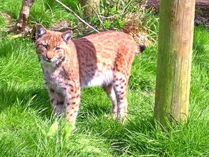 Supporting image for story: Peter Rhodes: An extra £1,700 a month for everyone?