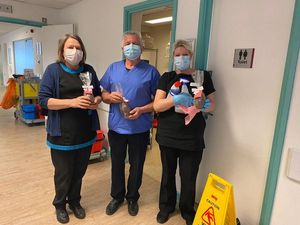 Supporting image for story