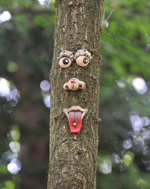 The Tree People are located all around the 173-acre site