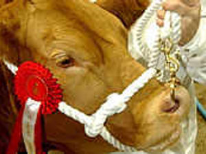 Supporting image for story: Farming on show at its best