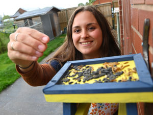 Supporting image for story: Shrewsbury veterinary practice caring for the planet as well as pets