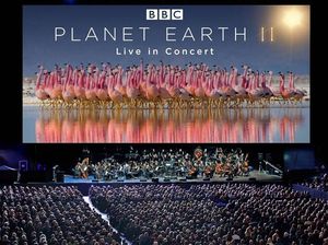 Supporting image for story: Planet Earth II Live with Orchestra coming to Birmingham