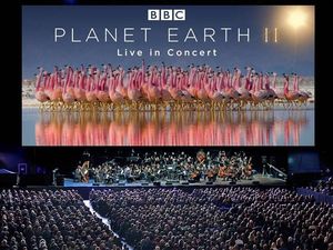 Supporting image for story: Planet Earth II Live with Orchestra coming to Birmingham