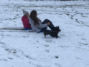 Evie and Maisie Darrall with dog Monty sledging in Horsehay, Telford. Pic: Nicola Oliver