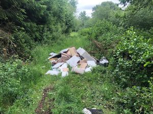 One of the incidents at White Sytch.